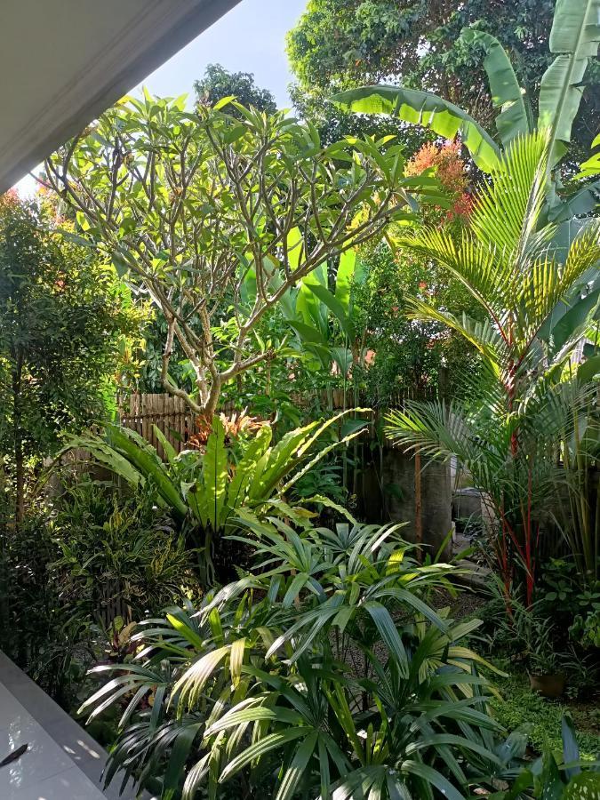 Diary Home Stay Ubud Kültér fotó